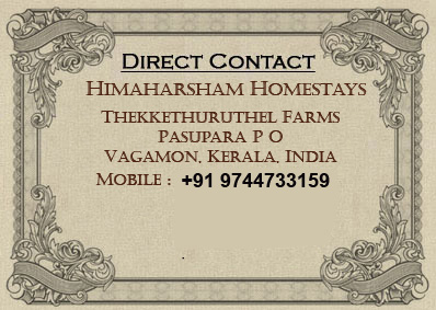 Vagamon homestay, resort, accomodation direct contact details. Very low cost accomodation homestay in Vagamon.